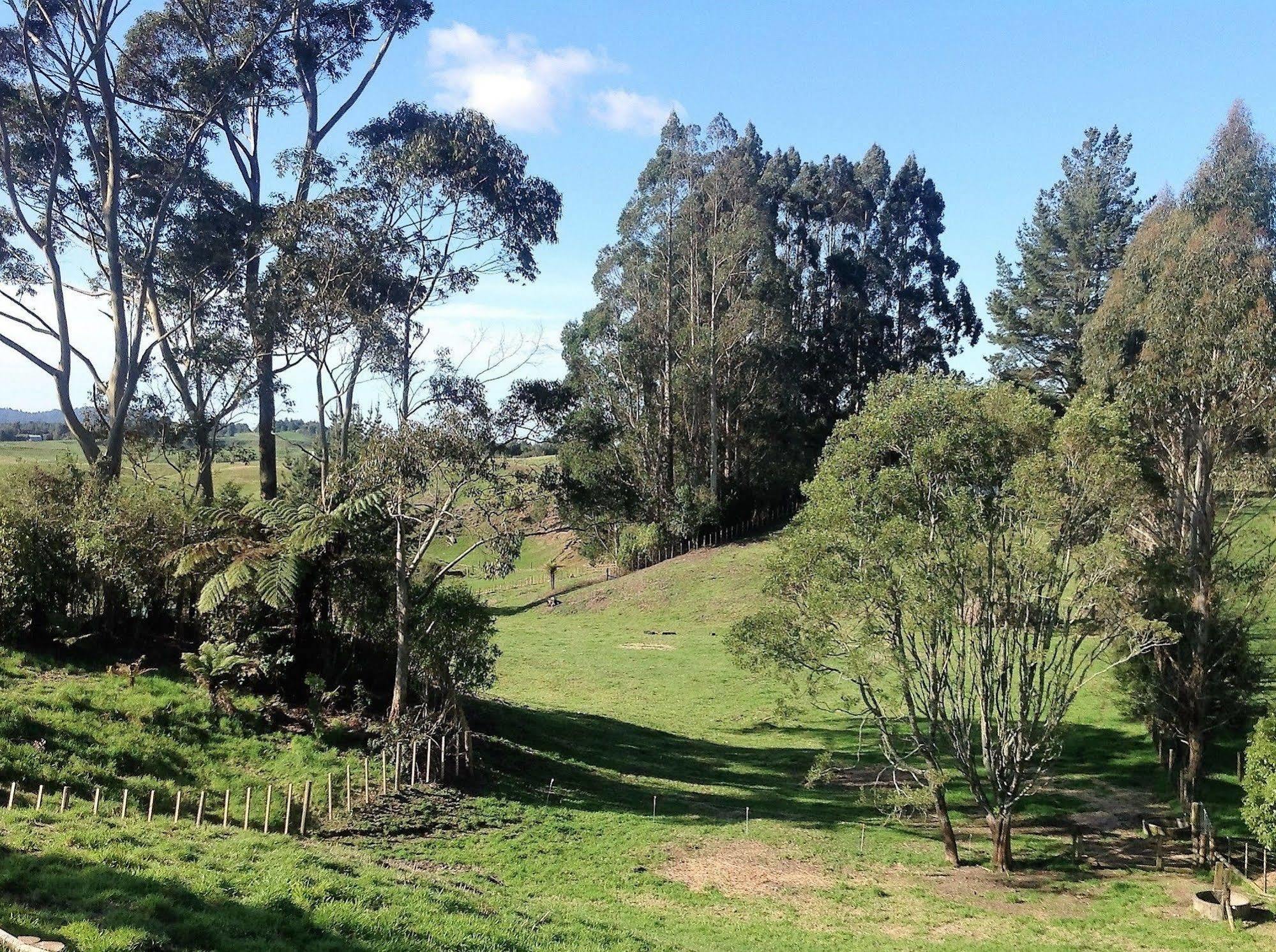 Rolling Hills Country Stay B&B Tauranga Eksteriør billede