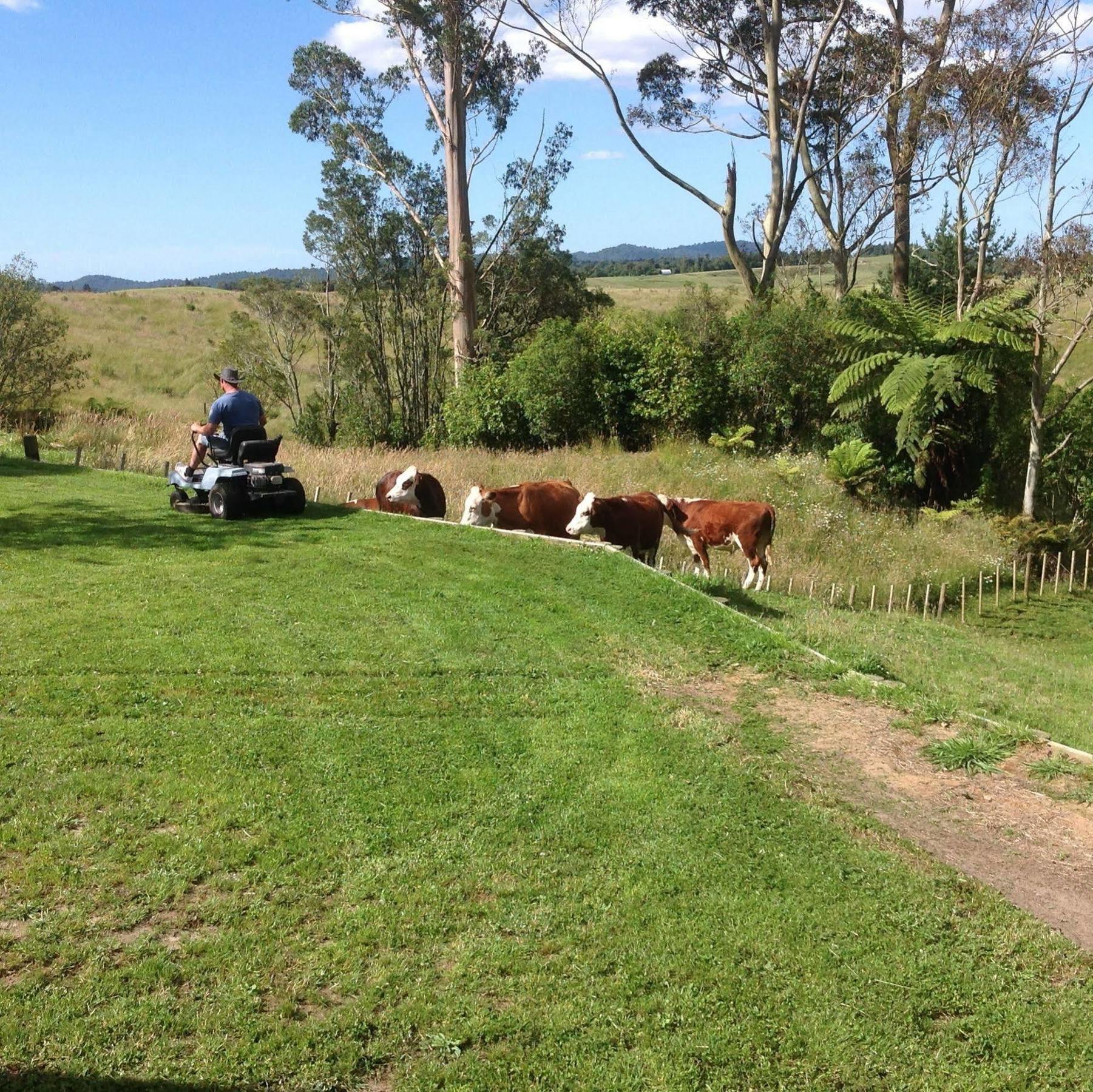 Rolling Hills Country Stay B&B Tauranga Eksteriør billede