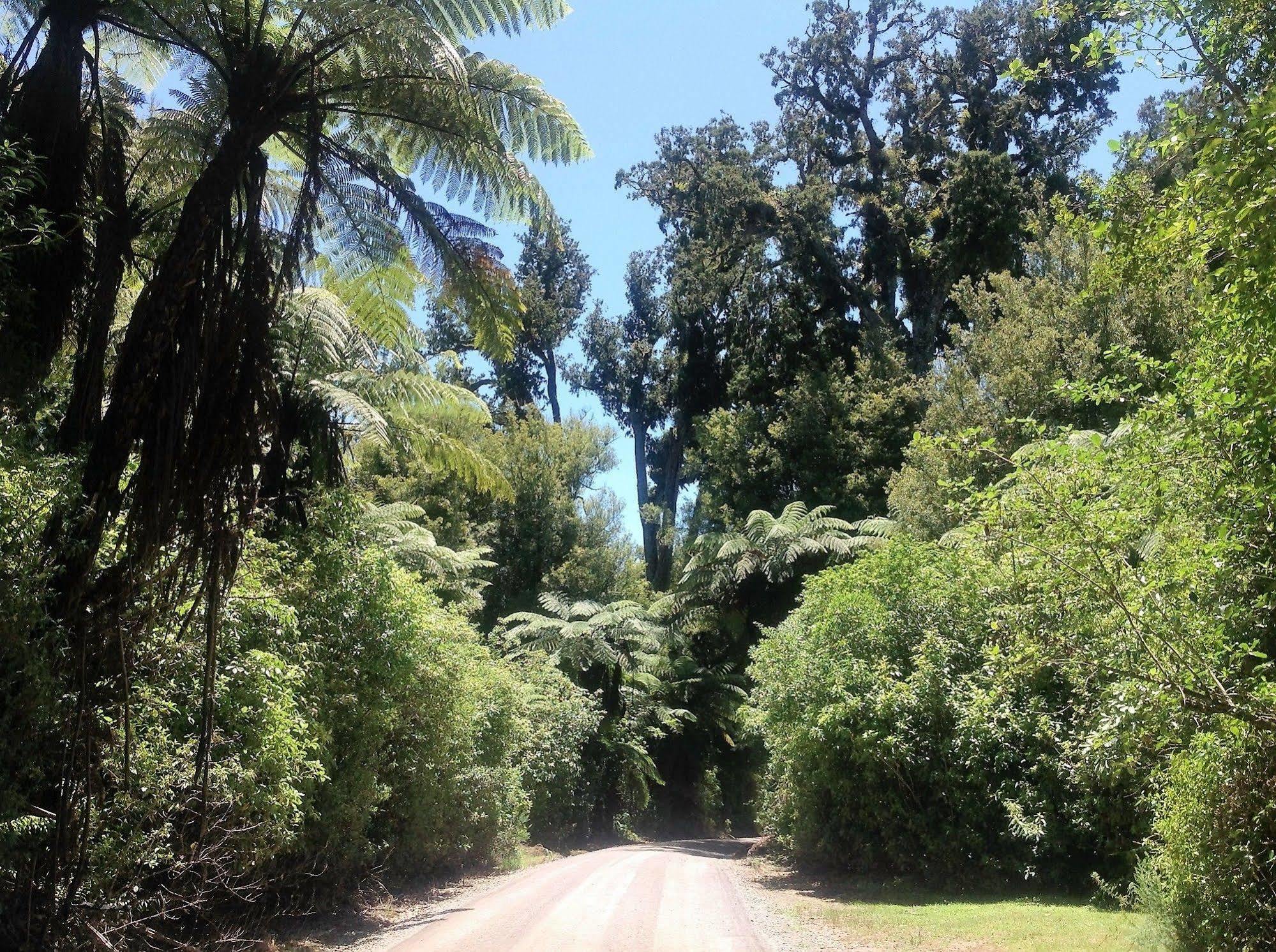 Rolling Hills Country Stay B&B Tauranga Eksteriør billede